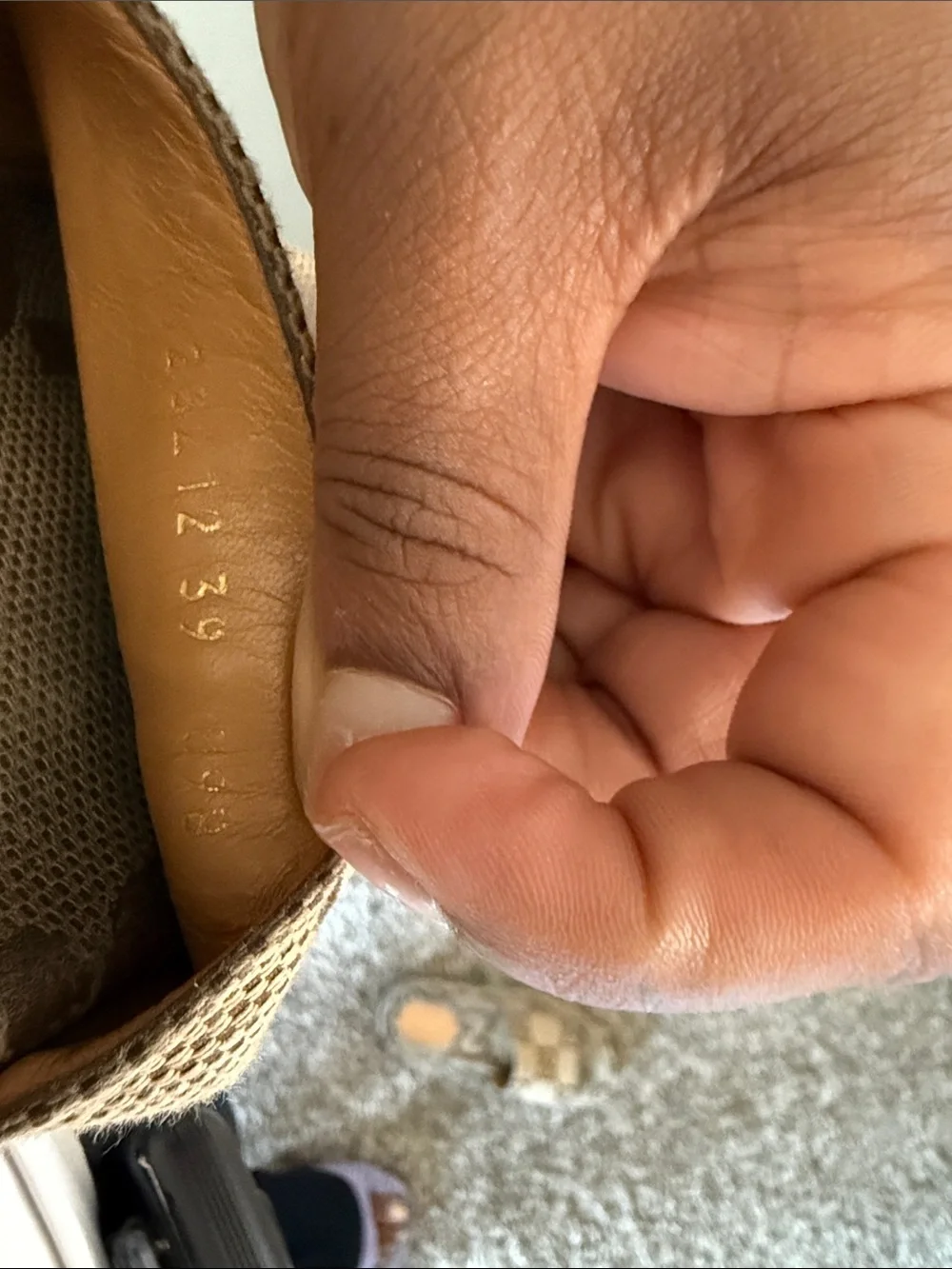 Gucci Brown and Beige GG Canvas Platform Slides
